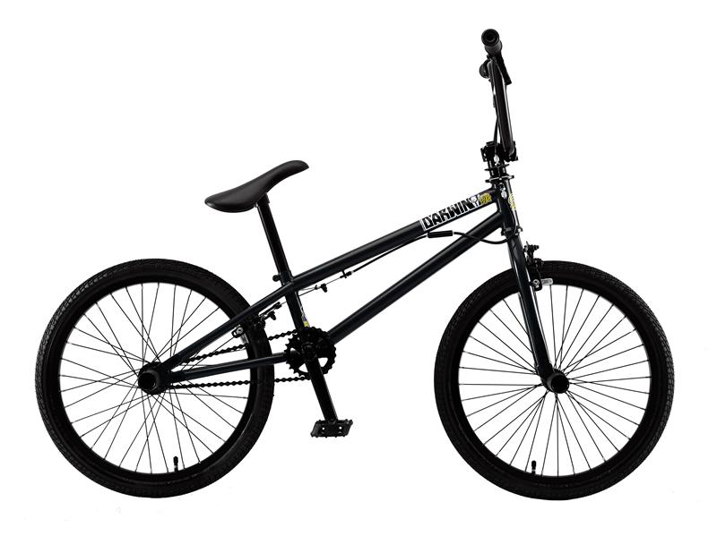 送料込- BMX フラット ST.MARTIN Darwin-